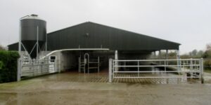 Private Client - Milking Parlour and Drafting Area 2